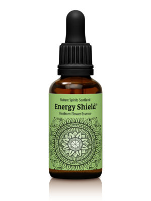 Energy Shield - DEFENDING