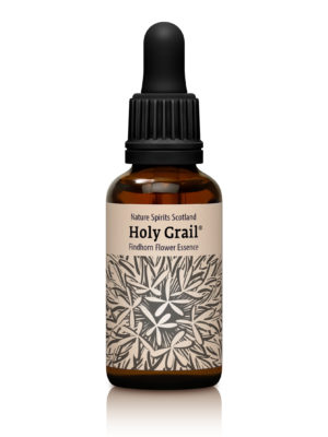 Holy Grail - INTEGRATING