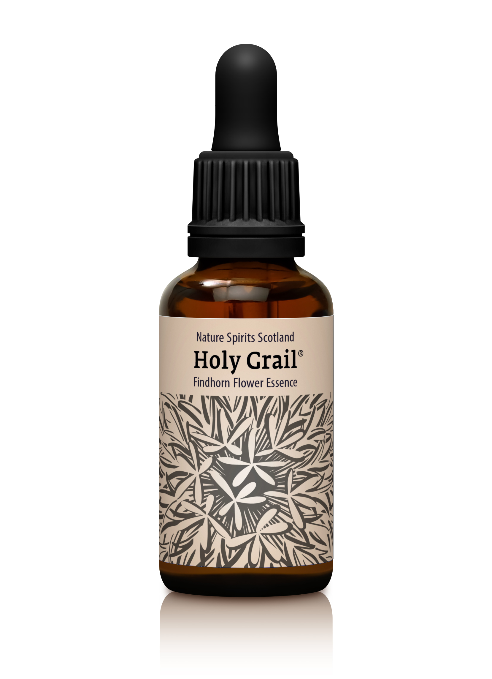 Holy Grail - INTEGRATING