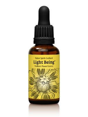 Light Being - UPLIFTING