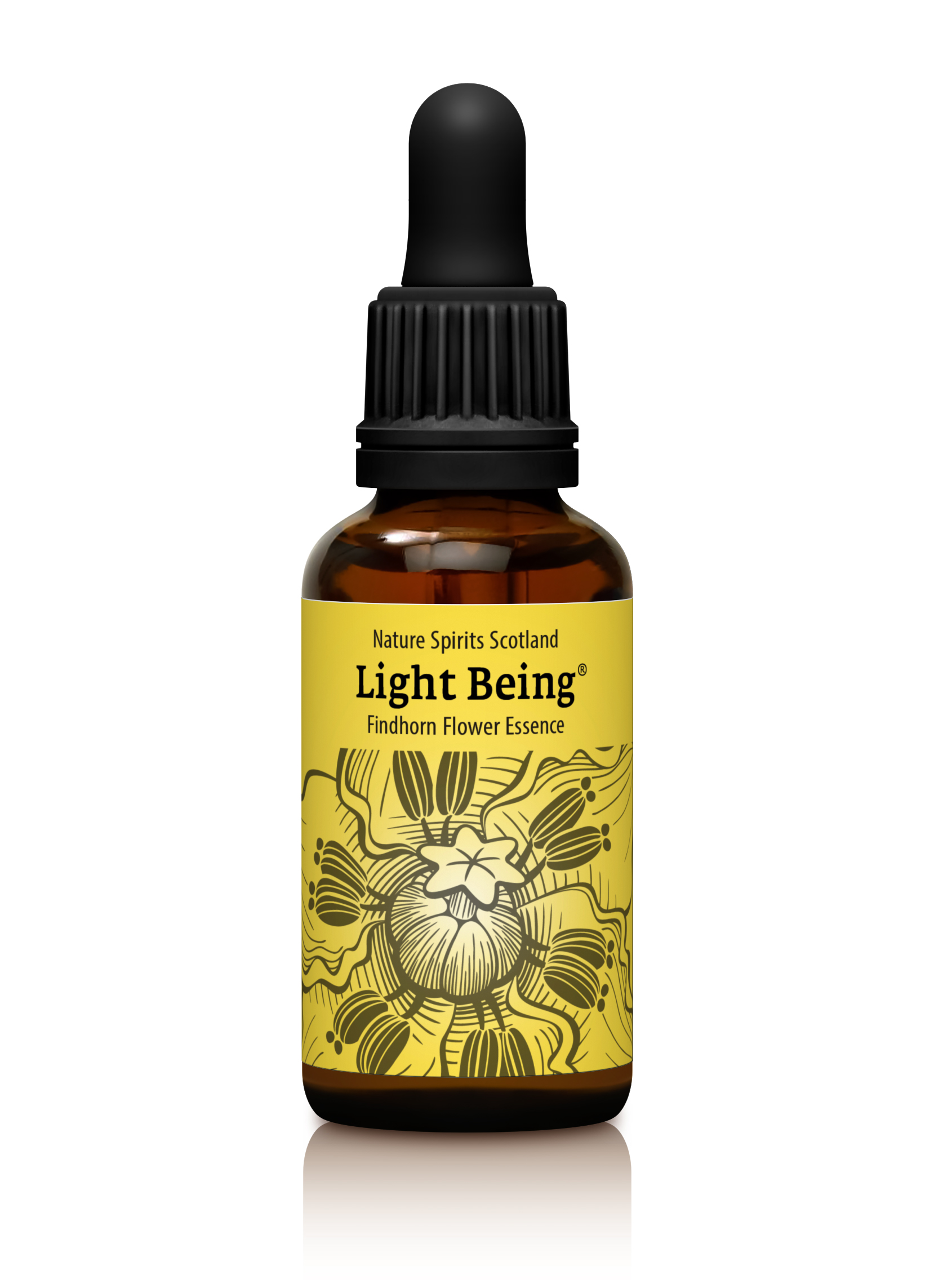 Light Being - UPLIFTING