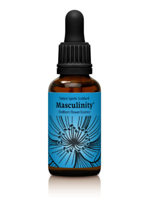 Masculinity - BALANCING