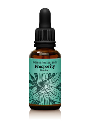 Prosperity Combination Essence