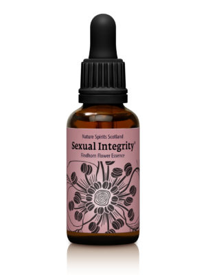 Sexual Integrity - EMBODYING