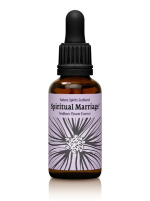 Spiritual Marriage - HARMONISING