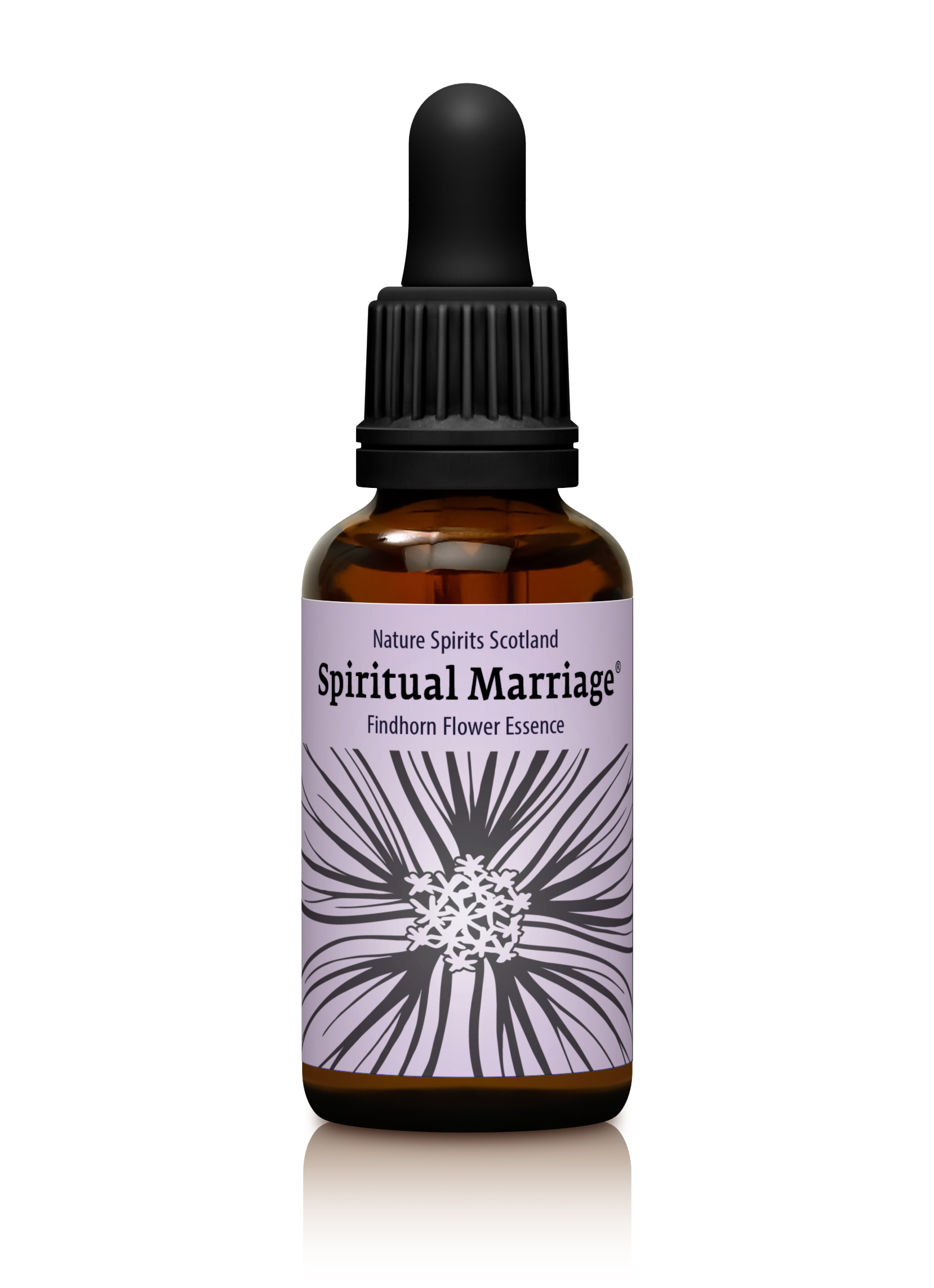 Spiritual Marriage - HARMONISING