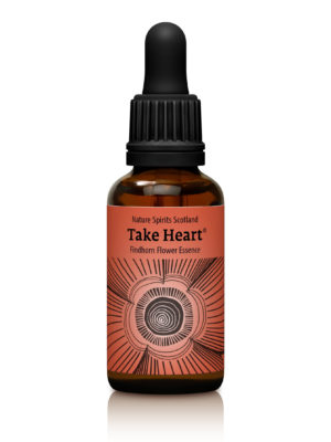 Take Heart - COMFORTING
