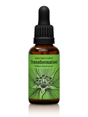 Transformation - SHIFTING