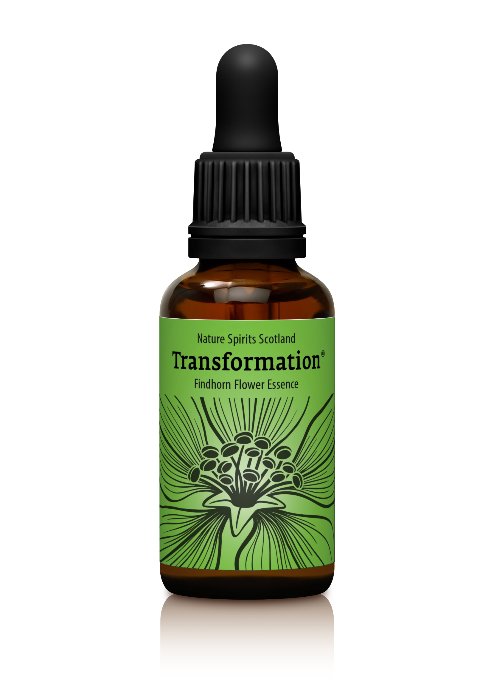 Transformation - SHIFTING