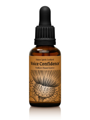 Voice Confidence - SHARING