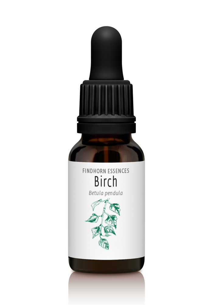 Birch - VISION
