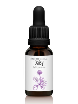 Daisy - PROTECTION
