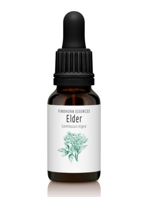 Elder - BEAUTY