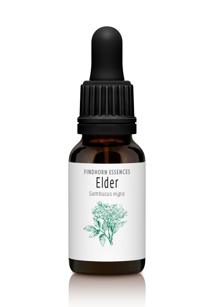 Elder - BEAUTY