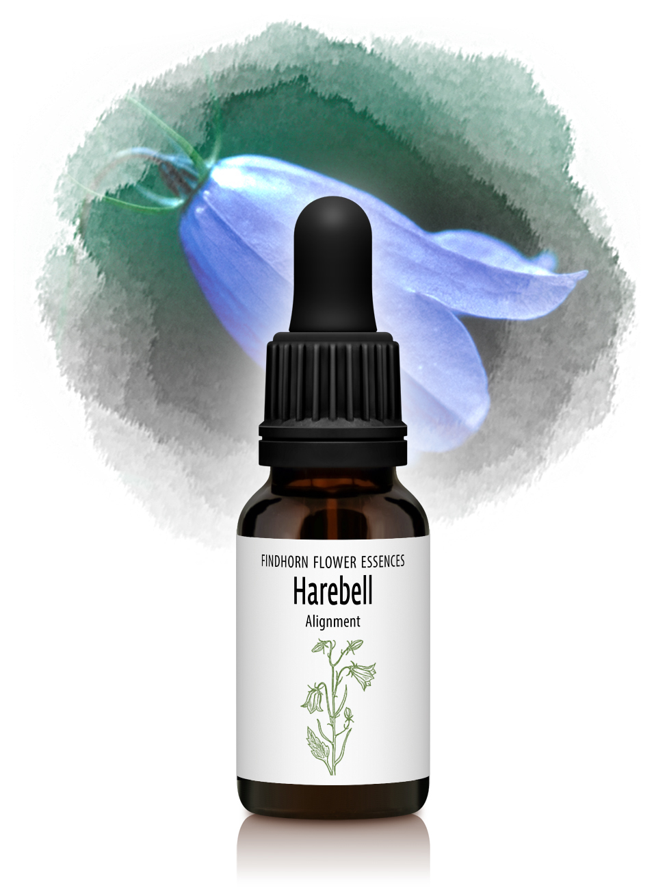 Harebell - TRUST