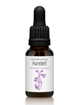 Harebell - ALIGN