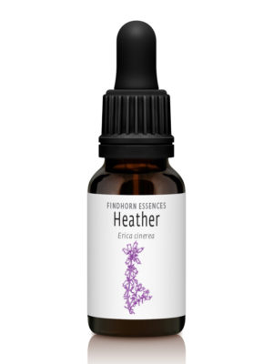 Heather - CONFIDENCE