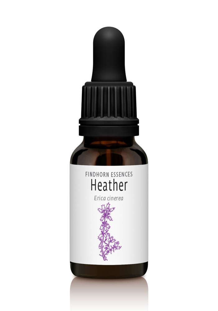 Heather - CONFIDENCE