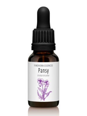 Pansy - CONNECT