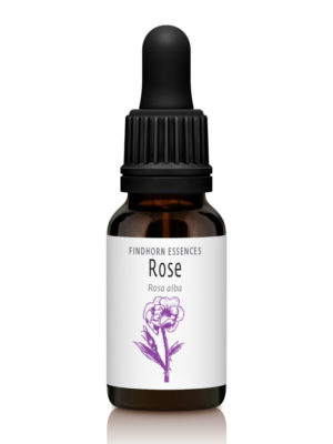 Rose - POWER