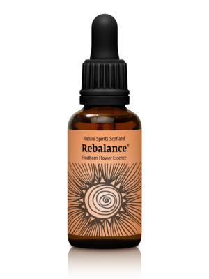 Rebalance - RESTORING