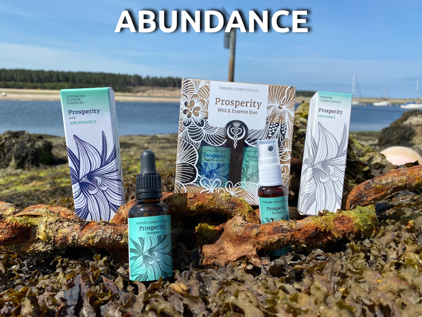 Prosperity Duo - Image 4