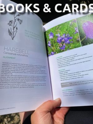 Handbook