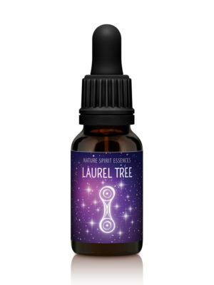 Tree Essence Laurel - RESOURCEFUL
