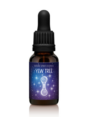 Tree Essence Yew - EMERGENCE