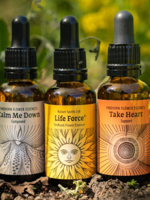 Findhorn Flower Essences