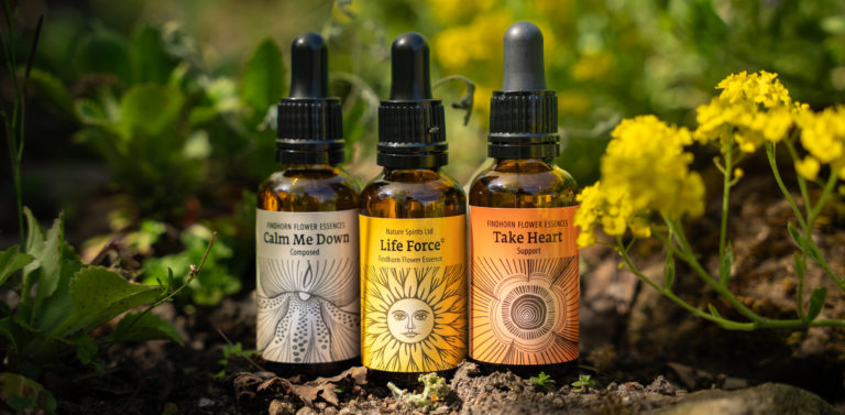 Findhorn Flower Essences