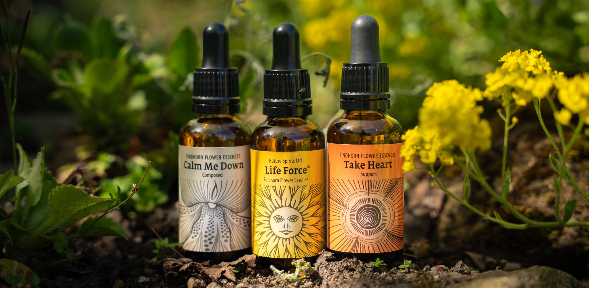 Findhorn Flower Essences